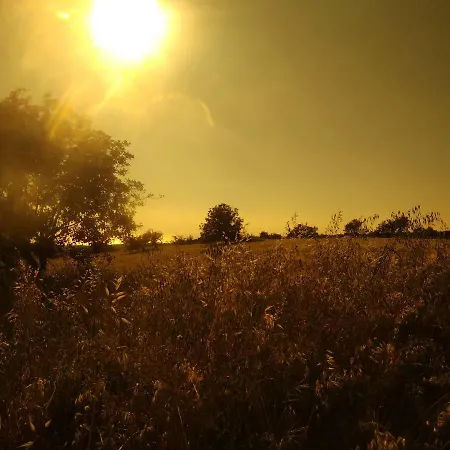 Pensión Sunset